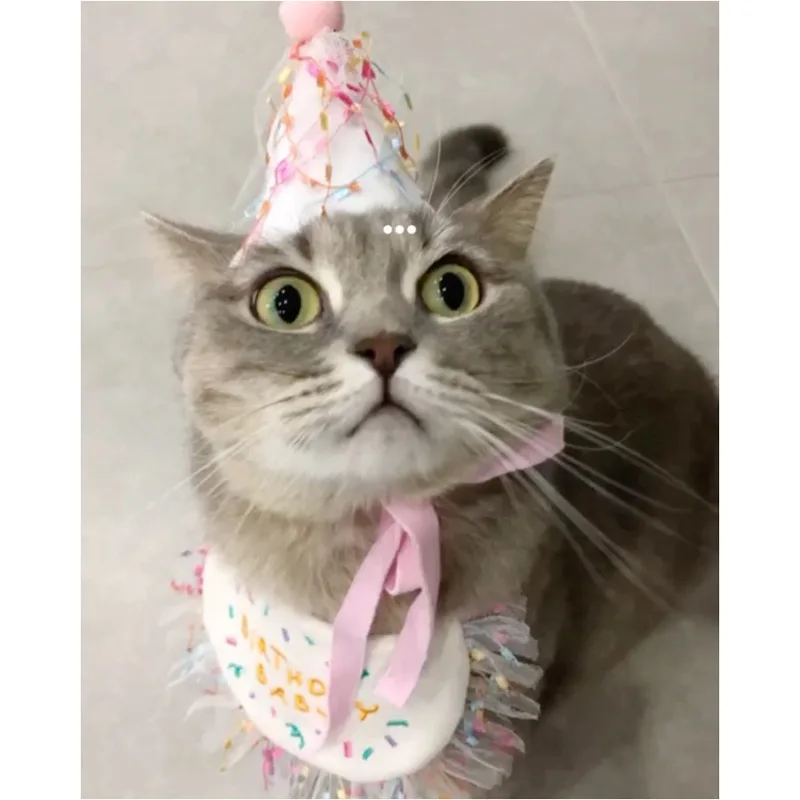 Title 14, Dog Bandana Party Bib Scarf Collar Happy Birthd...