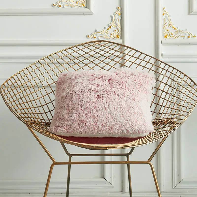 11476146612_1172972991