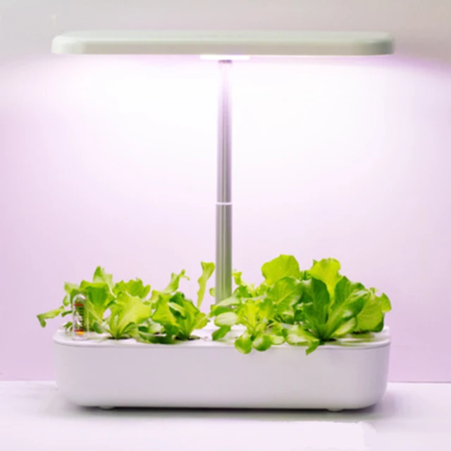 Hydroponics Growing System 12 Pods Indoor Herb Garden With Led Grow Light Smart Garden Planter For Home Kitchen Automatic Timer 3
