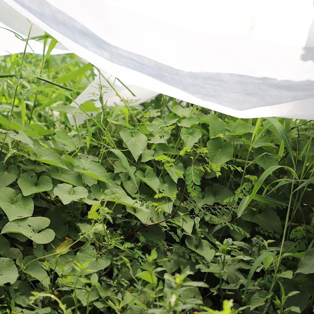 Garden Fabric Plant Care Cover Outdoor Frost Protection Blanket Floating Row Crop Cover Garden Anti-bird Mesh Netting Protection Garden Fabric Plant Care Cover Outdoor Frost Protection Blanket Floating Row Crop Cover Garden Anti-bird Mesh Netting Protection
