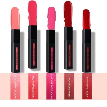 

Cheekdourl 5Pcs/Set Lip Gloss Liquid Lipstick Waterproof Long Lasting Moisturizing Lipstick Women Lip Tint Set