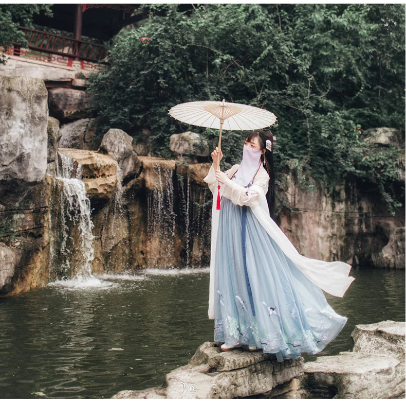 Hanfu Dress Women Traditional Chinese Clothes Embroidered Ancient Folk Dance Costume Tang Dynasty Princess for Stage Performance