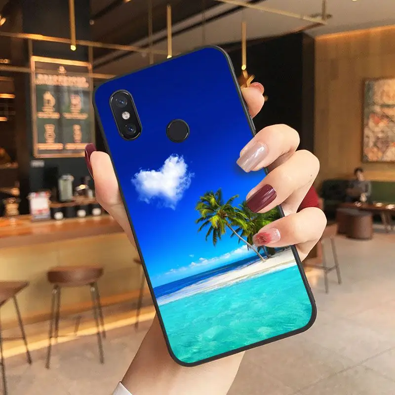 beach starfish blue sky