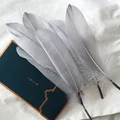 Gray 50pcs