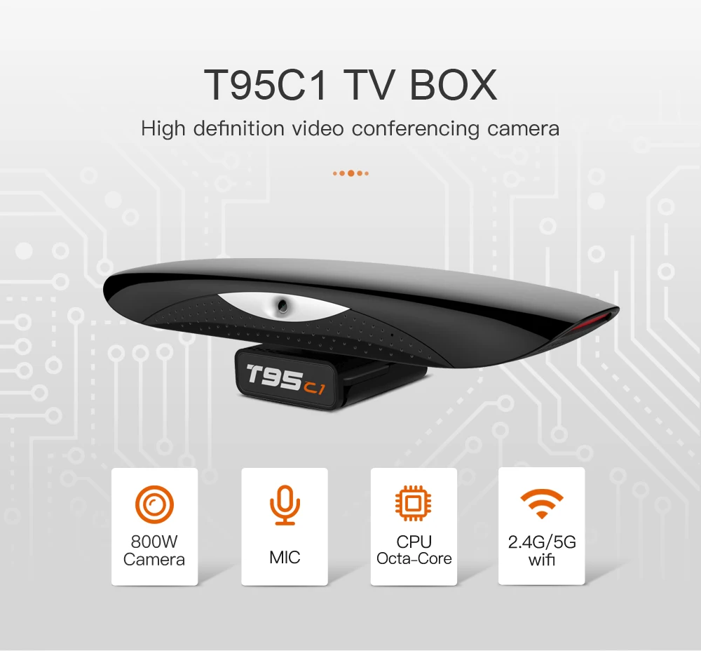 T95C1-01