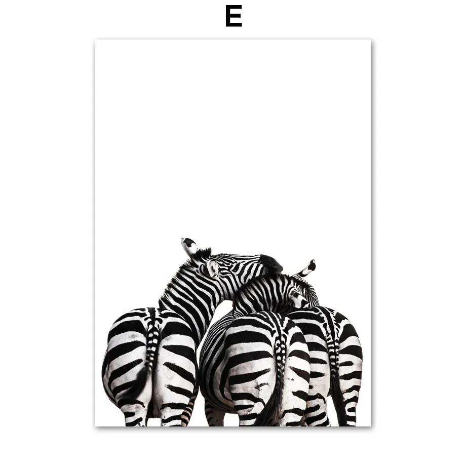 Zebra-Elephant-Bird-Flower-Africa-Black-White-Animal-Posters-And-Prints-Wall-Art-Canvas-Painting-Wall (5)