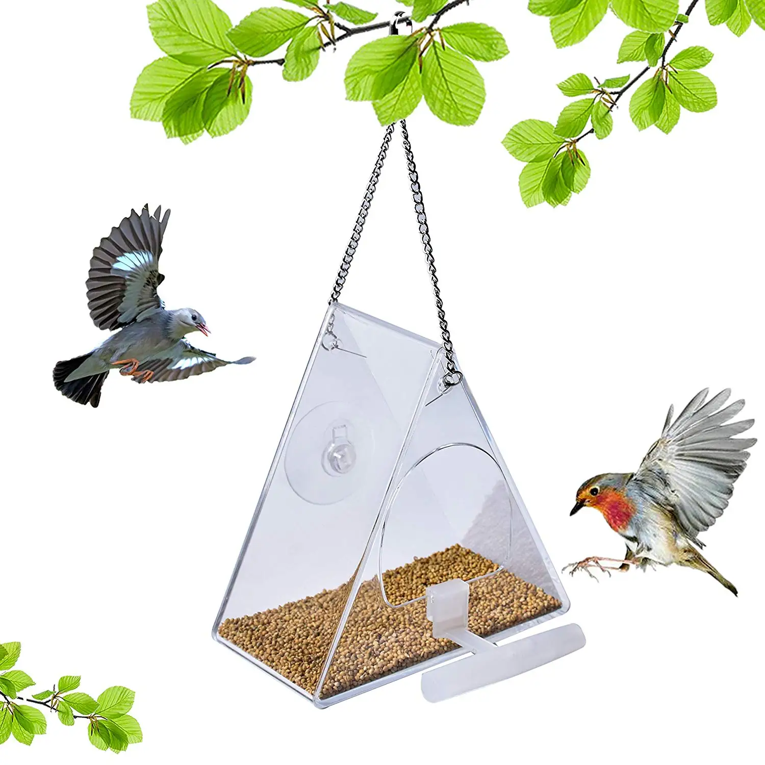 Window Bird Feeder Clear Perspex Hanging Bird Feeder With Suction Cup.