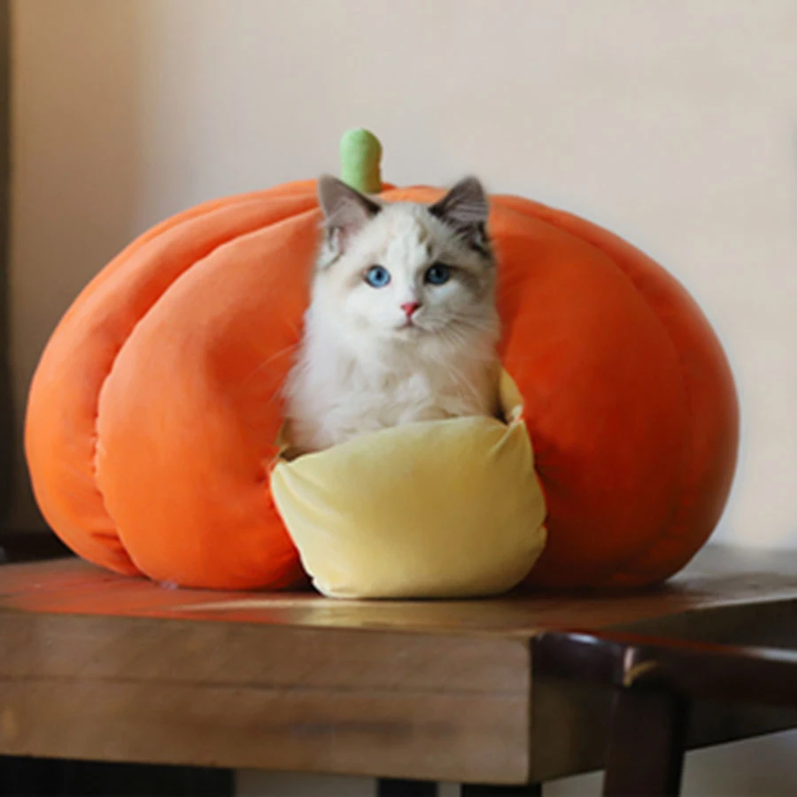 pumpkin cat house