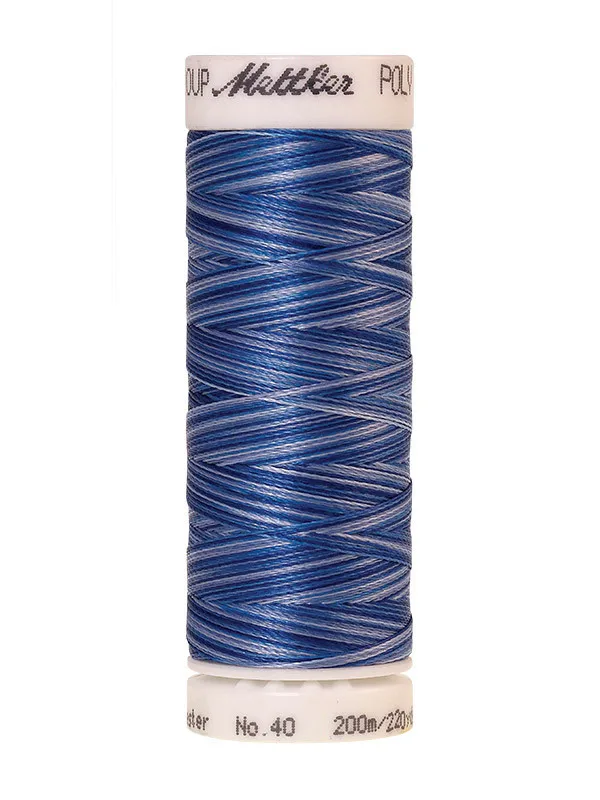 Нить для вышивания мультиколор POLY SHEEN MULTI METTLER, цвет 9929, 200 м