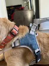 Pet-Vest Harnesses Dog-Supplies Reflective No-Pull Small Walking-Adjustable Large Medium