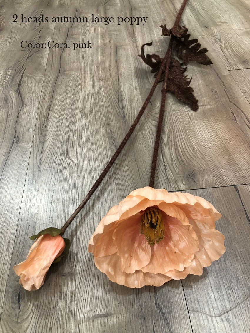 12427676090_71626218