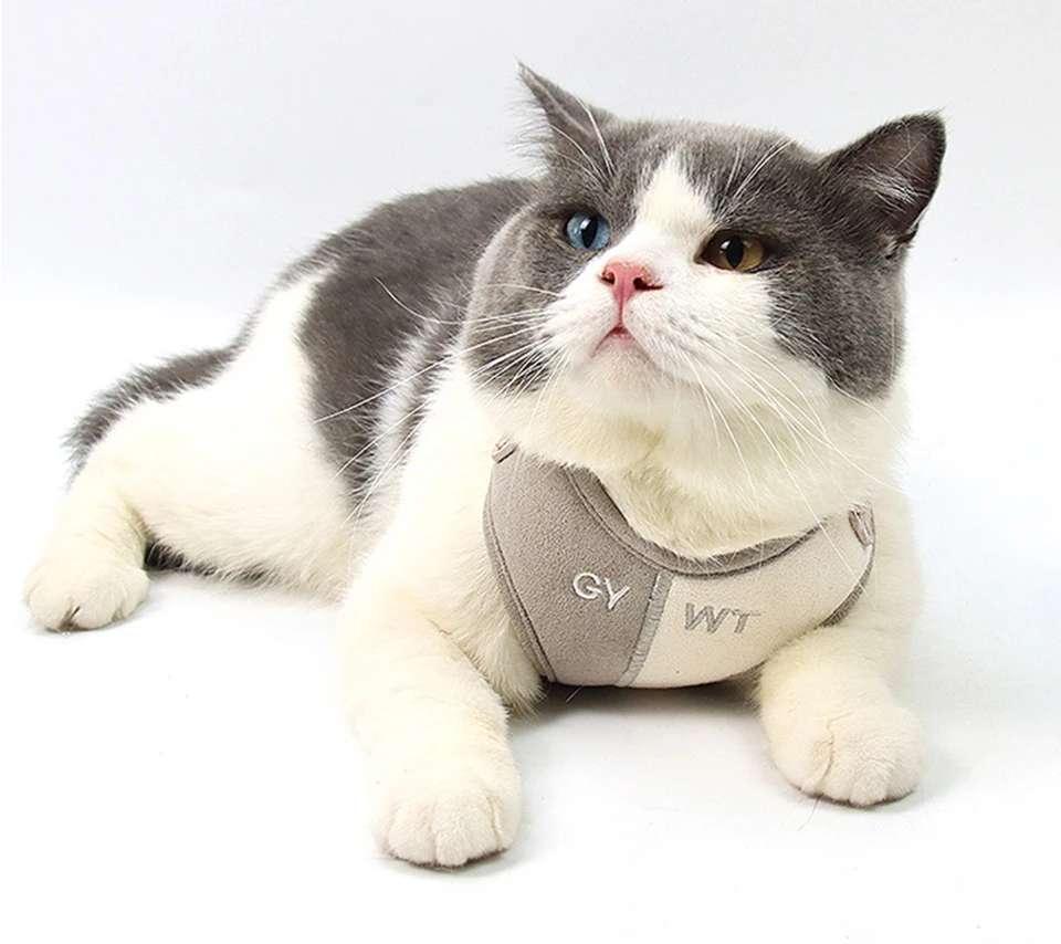 Hd660f5fa82d0481ea3419d83783d0e7fn