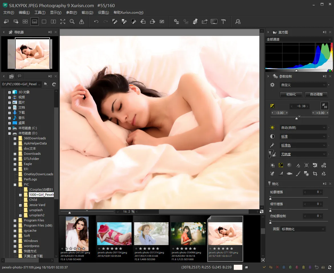 软件下载-JPEG图像处理软件SILKYPIX JPEG Photography 9.2.14中文汉化版WIN(5)