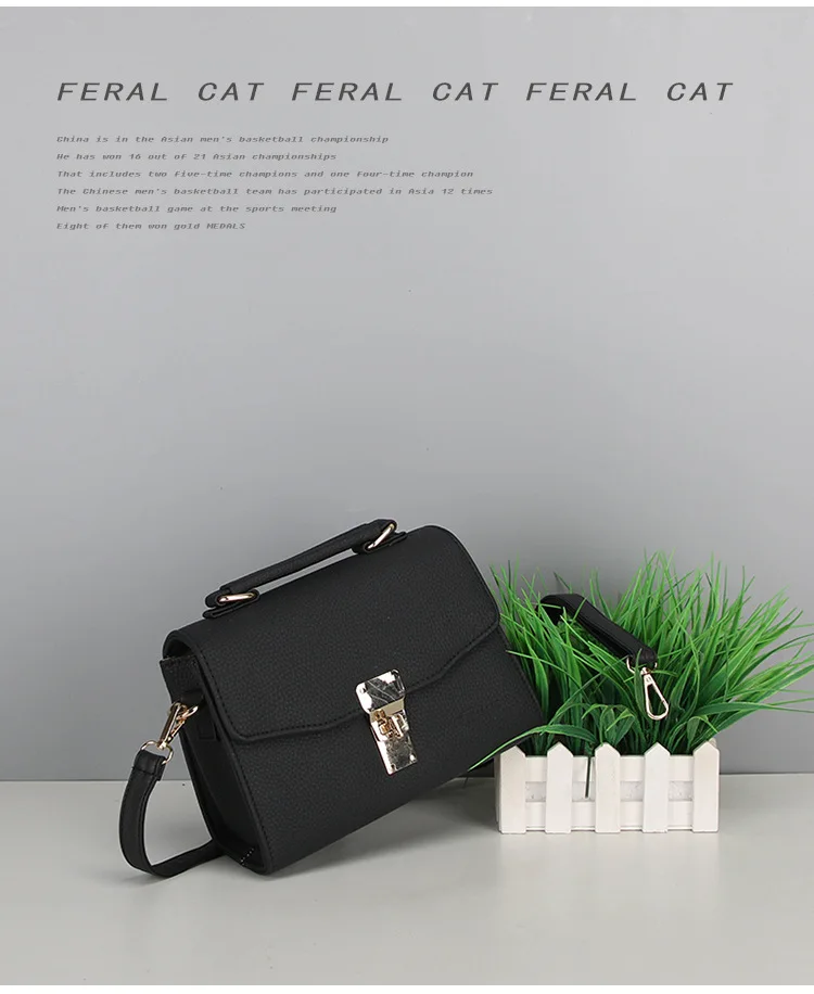 FERAL CAT 2017 Luxury Handbags Women Shoulder Bags Designer Ladies Hand Bags Leather Messenger Bag19
