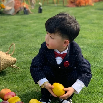 

Boy's Striped Suit 4-piece Suit Birthday Dress Suit Wedding Flowers boys Suit little boy Costume Terno kids 1-4 year
