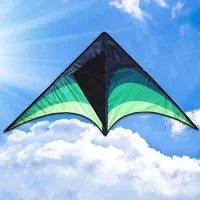 High Quality Large Delta Kites With Handle Line Outdoor Toys For Kids Kites Nylon Ripstop Albatross Outdoor Flying Kites 1