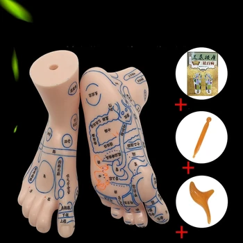 

2PC High quality 19cm Foot Reflex Zone Massage Model Foot acupuncture model foot acupuncture point model YC143