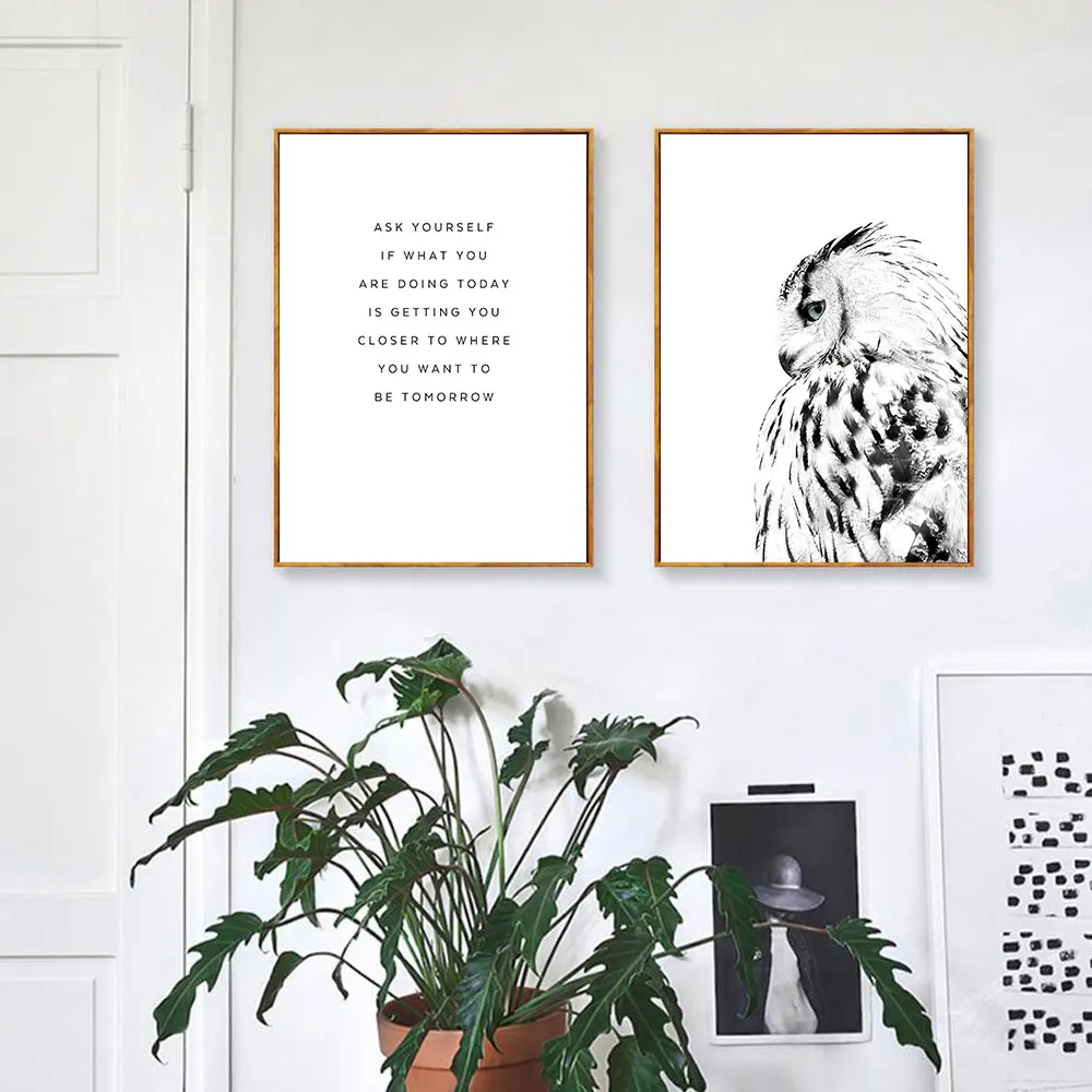 Nordic-Black-White-Poster-Owl-Canvas-Painting-Feather-Wall-Art-Print-Quote-Modern-Picture-For-Living (2)