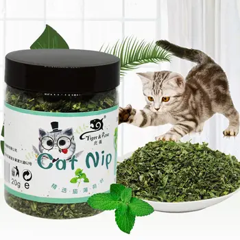 

Cat Toys Catnip Healthy Funny 20g/30g Edible Treating Popular 100% Natural Pet Supplies Menthol Flavor 1Box Organic Safe