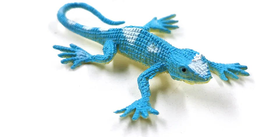 详情页-12款-彩色蜥蜴等_09