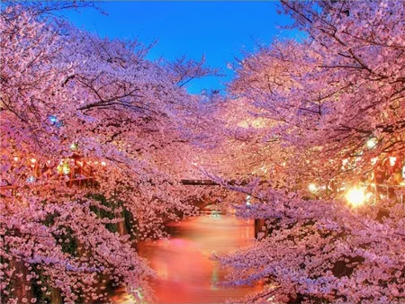 QQ截图20200520160525