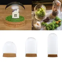 Home Decor Vases Glass Flower Display Cloche Bell Jar Dome Immortal Preservation Wooden Base Everlasting Flower Glass Cover - Image 5