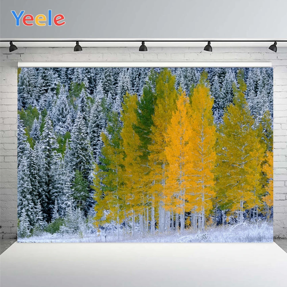 Yeele-ܿ ҳ ǹ Ȳ   ,   Ʃ    ũ