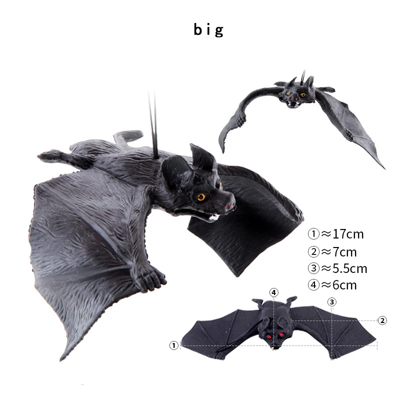 16545344920_289934181