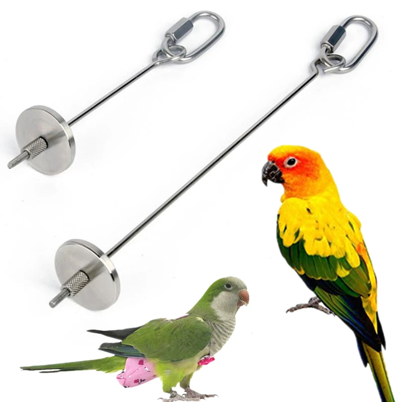 Stainless Steel Bird Parrot Food Stick Corn Fork Fruit Holder Hanging