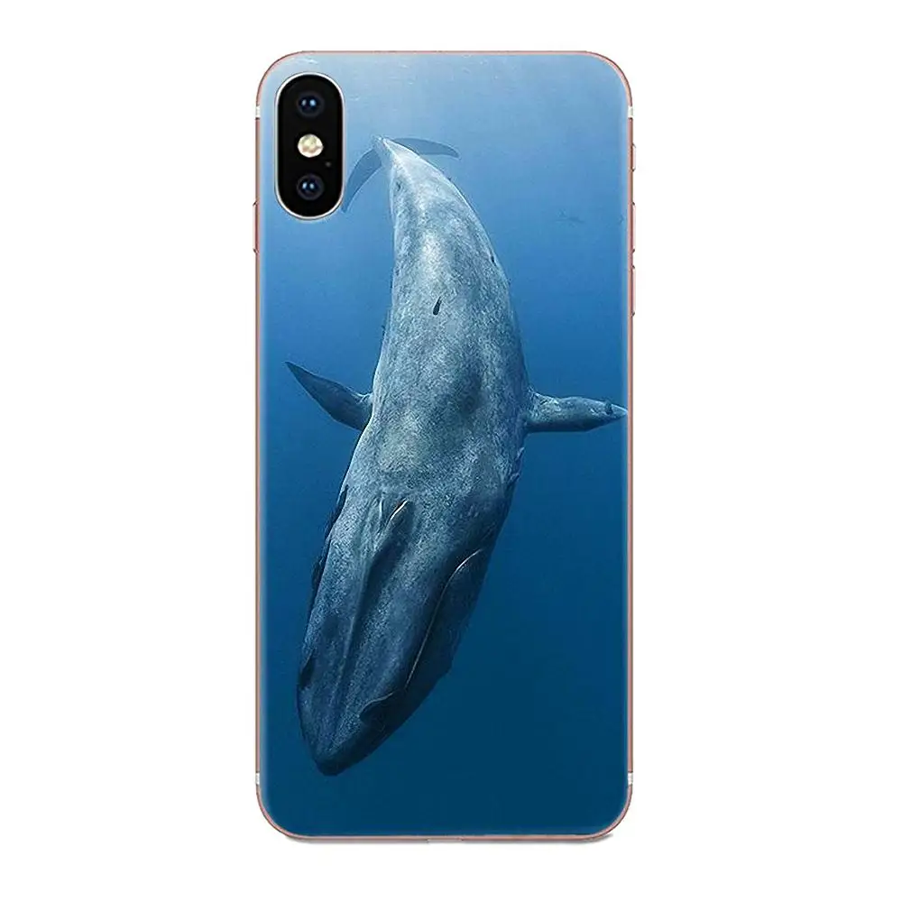 Китовые акулы рыбы люкс для Xiaomi Redmi Mi 4 7A 9T K20 CC9 CC9e Note 7 9 Y3 SE Pro Prime Go Play|Чехлы-накладки|