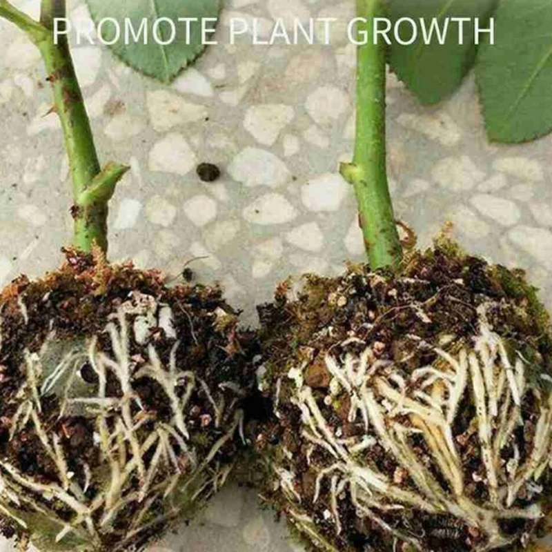 ELEG-Growth Square for Starter for Cutting, Growth Medium for Aquatic Plant Growth Media-Botanical Root Controller