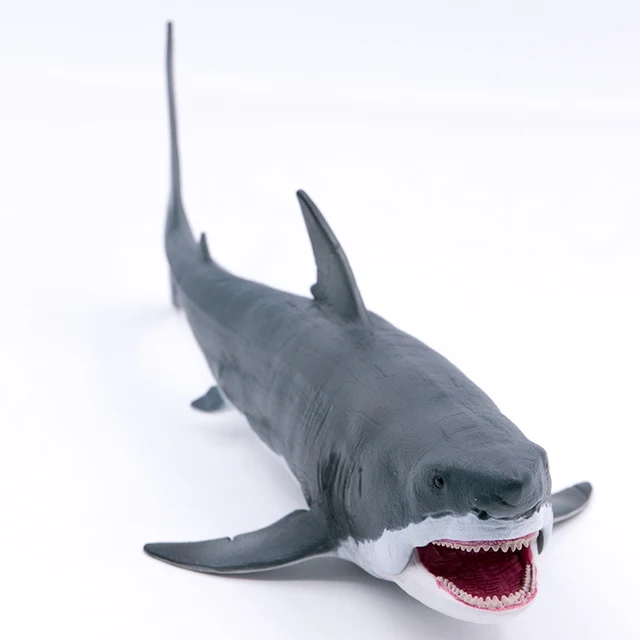 Megalodon, Giant Shark, Museum Quality Plastic Reproduction 7