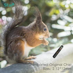 1pc Ntag216 microchip NFC tag 2x12mm pet microchip 13.56mhz rfid transponder glass capsule for animal identification management