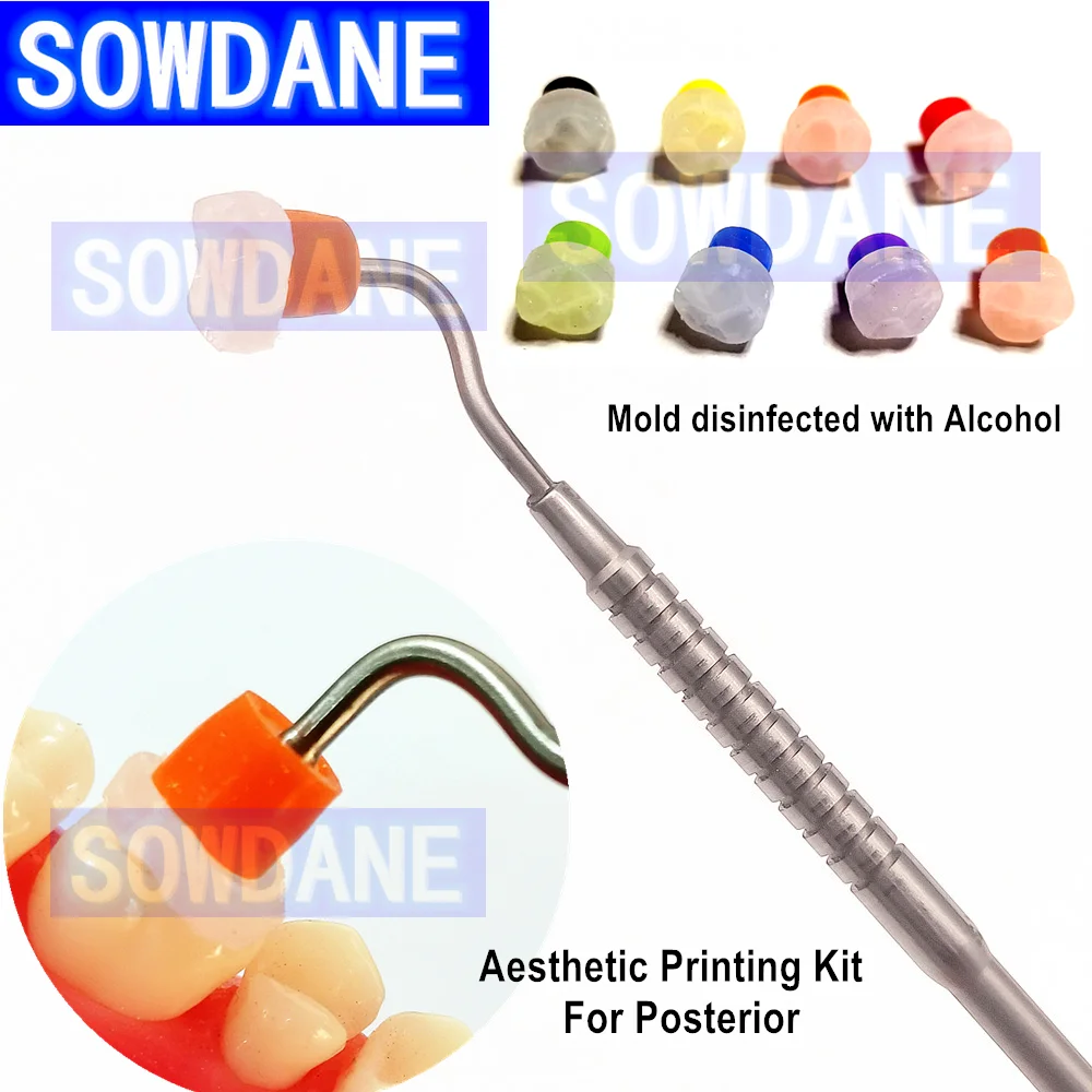 1 set Dental Aesthetic Printing Mold Kit with Metal Handle and 8pcs