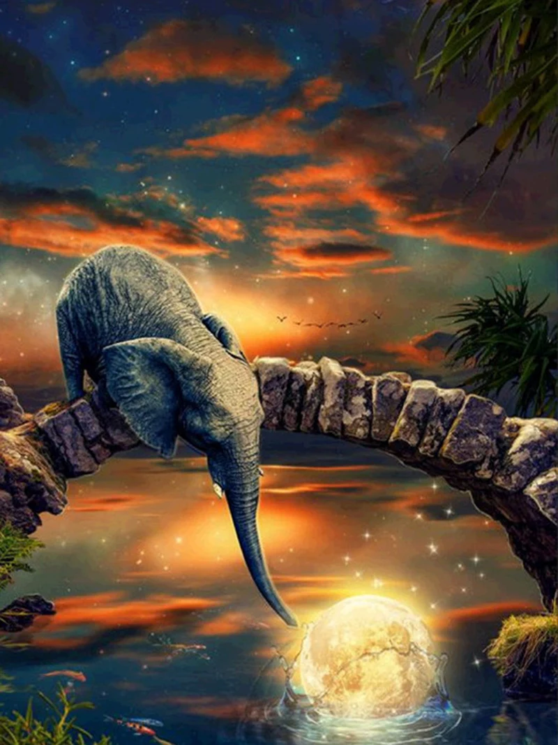 C16681
