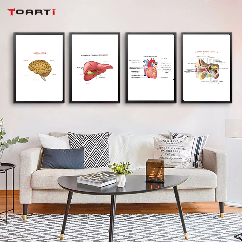 Organ Prints Posters Body Structure Canvas Painting Liver Brain Lungs Wall Pictures For Laboratory Studying Room Decorative Art | Дом и сад