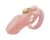 Целомудренная Птица Small/Standard Male Chastity Device Cock Cage With 5 Size Rings Brass Lock Locking Number Tags Sex Toys CB6000 A153