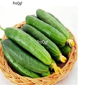 

Ngryise 2000Pcs A Set fruit cucumber