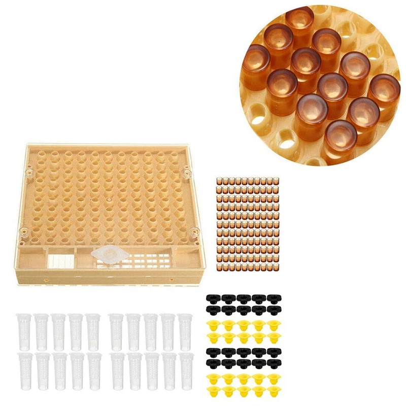 

Cultivating Box Non-Toxic Garden Large Equipment Set Beekeeping Tools Plastic Durable Catcher Cage Bee Cell Cups Queen Rearing S