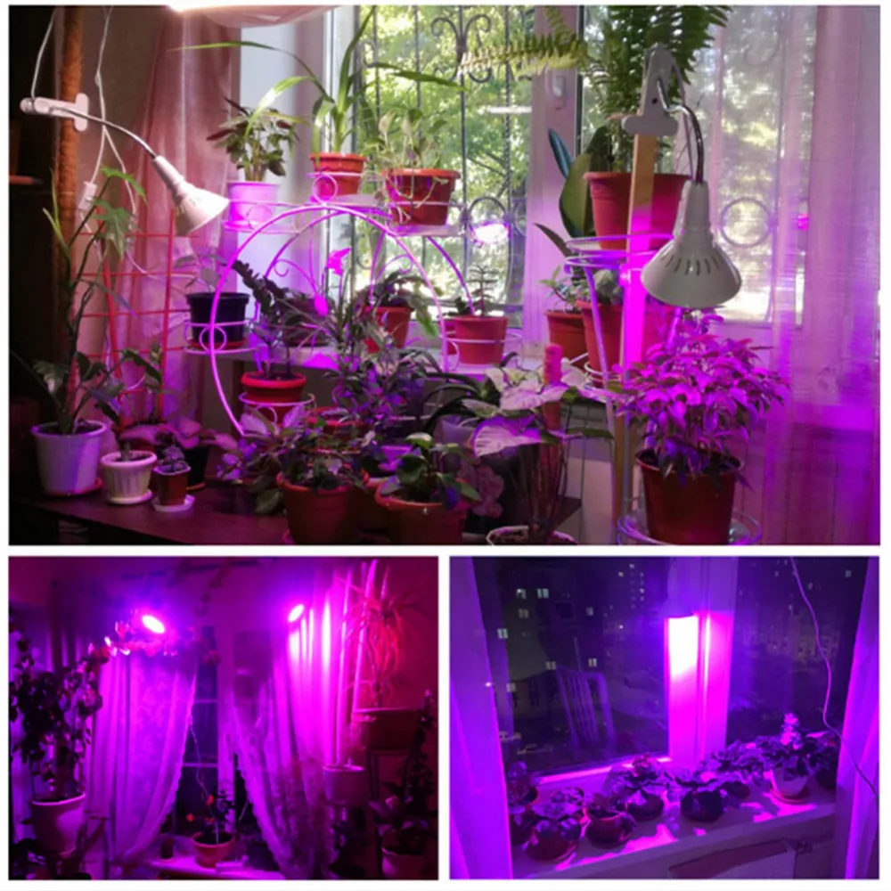 c9c7b8658c0e4dcf8f4abda9e1c287db