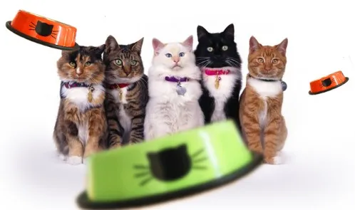 1Pcs Dog Cat Food Bowls Supplies Pet Feeding Drinking Tools Steel Pet Bowl Stainless Water Dogs Cats Bowls Anti-skid Pets