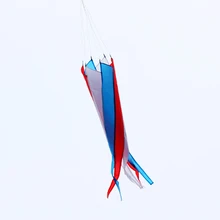 

free shipping kite windsocks 2pcs/lot various colors ripstop nylon fabric kite eagle kite flying heart kite beautiful hcxkite