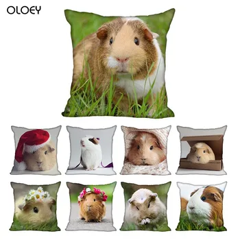 

Guinea Pig Living Room Pillowcase Pillowcase 45X45cm (one Side) Pillowcase Modern Home Decoration Pillowcase Hotel Decoration .