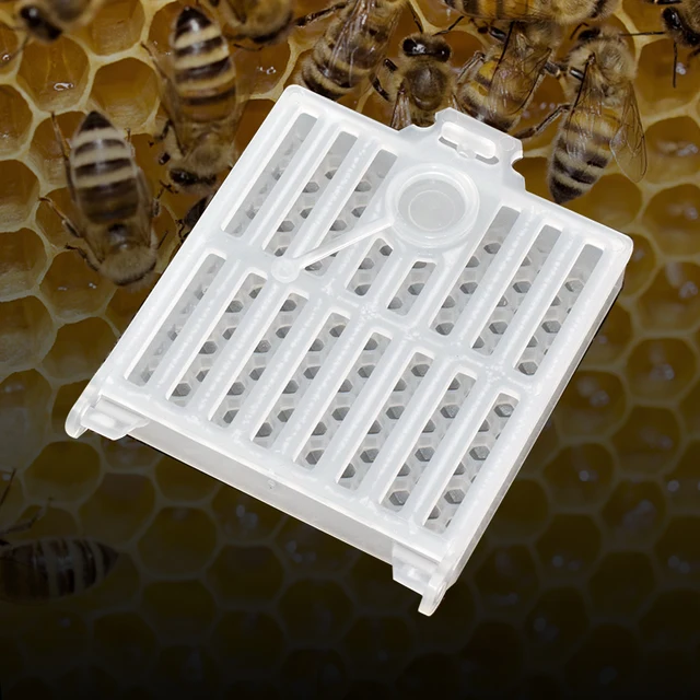 Méhészeti Közlekedési Queen Ketrecek Méh Poszt Ketrec Fésű Finanszírozási Lap Apiculture Méhészet Queens Hajózási Doboz - Image 2
