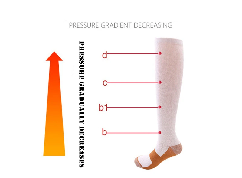 10565814750_1619496138