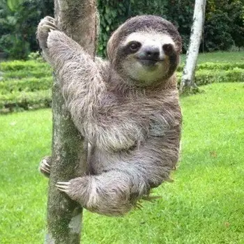 

5D DIY Diamond Painting Animal Diamond Mosaic Cross Stitch Full Square Diamond Embroidery Sloth Home Decor