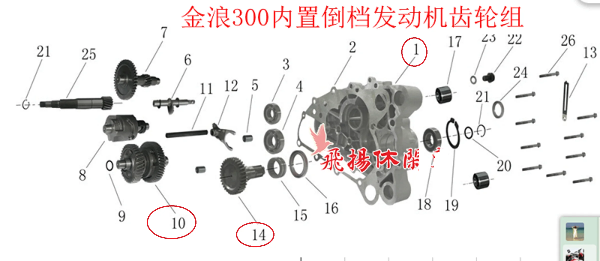 Выходной вал и коробки передач коробка подходят для двигателя JL1P73 MN 4/JL300CC № 1 | Детали и аксессуары для мотовездехода -32479219068