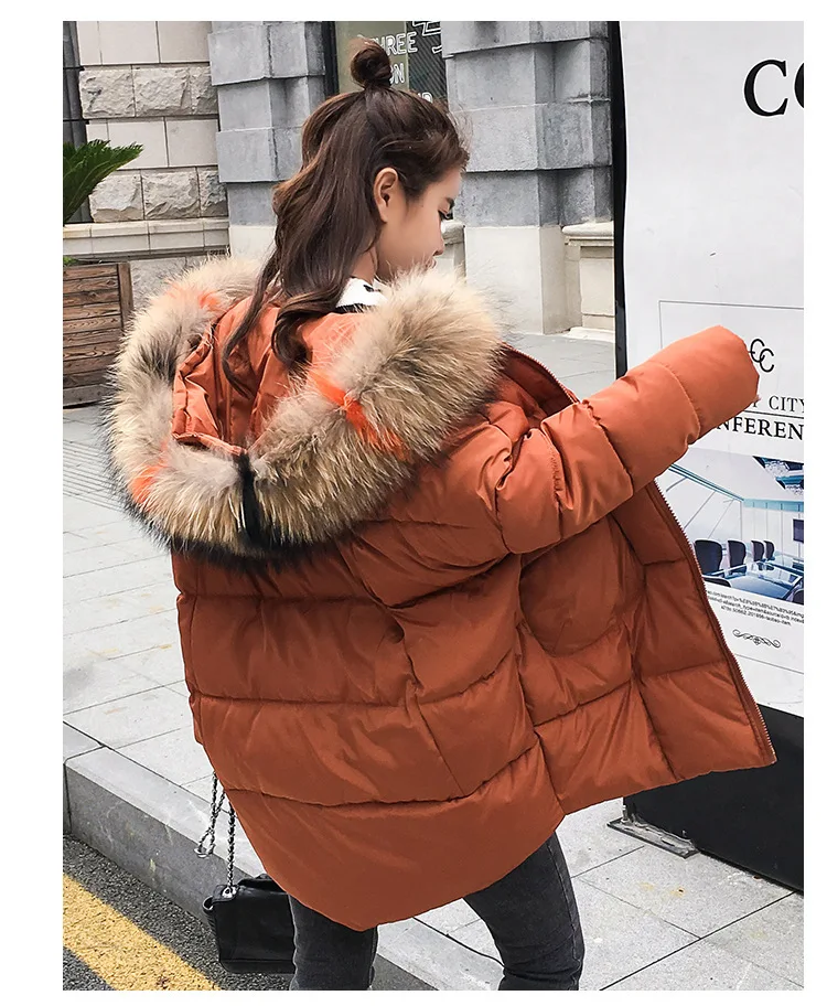 9019126783_1006637240