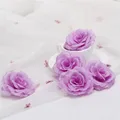 VIOLET/紫罗兰