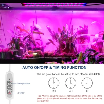 

Led Grow Light Waterproof Lamp Auto On Off For Plants Full Spectrum Phyto Lamp Red Blue Led Strip For Greenhouse